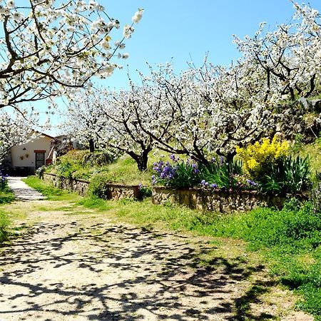 Casa Valeriana Βίλα Navaconcejo Εξωτερικό φωτογραφία