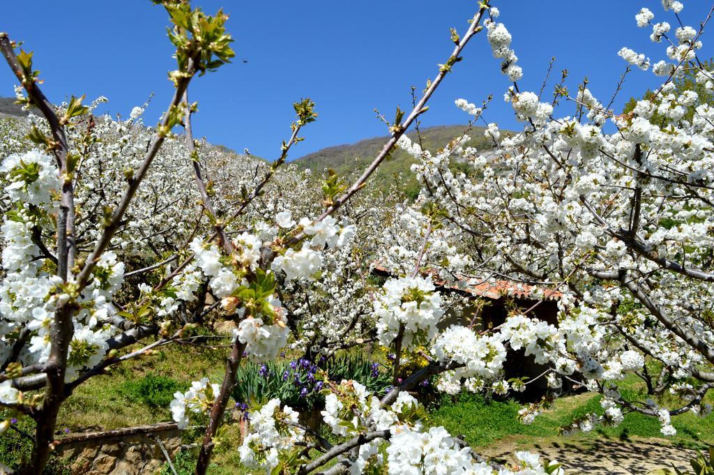 Casa Valeriana Βίλα Navaconcejo Εξωτερικό φωτογραφία